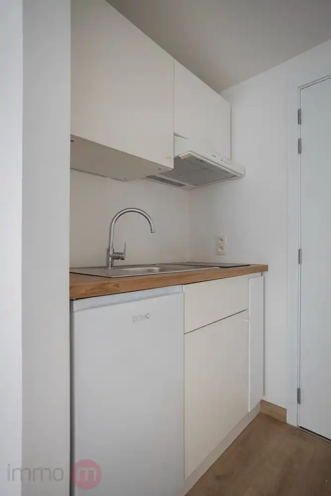 Volledig vernieuwde, instapklare studio in hartje Leuven met afgesloten garagebox – rustig gelegen pareltje! foto 10