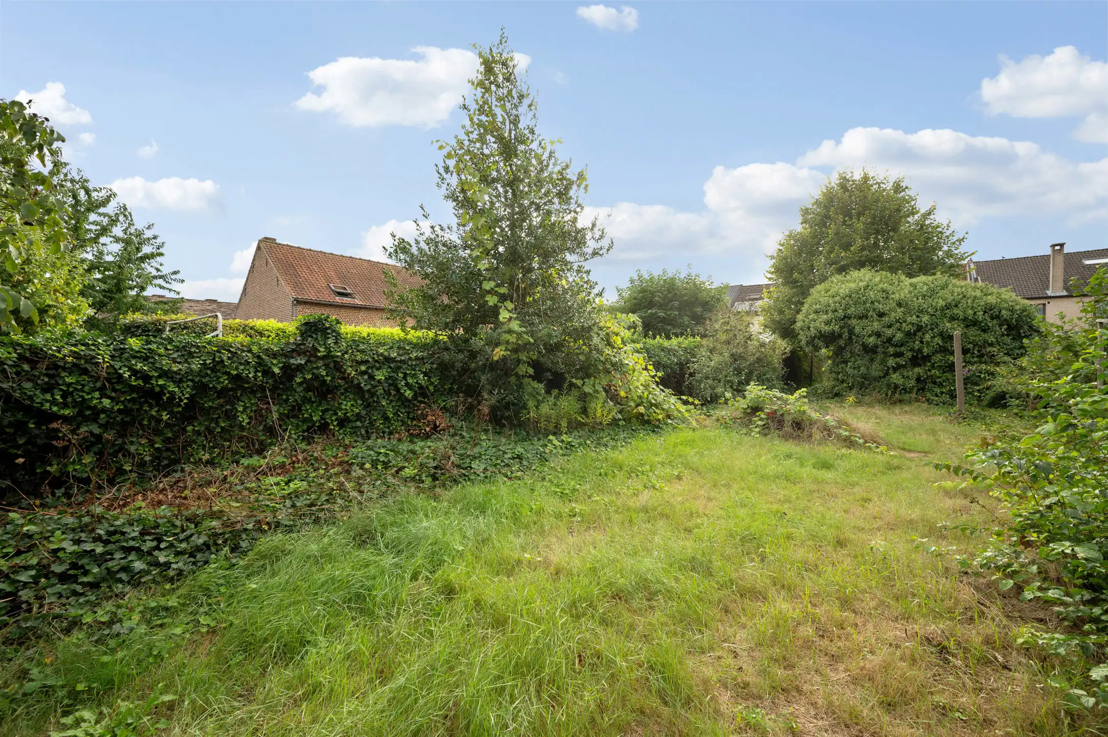 Huis te koop foto 23