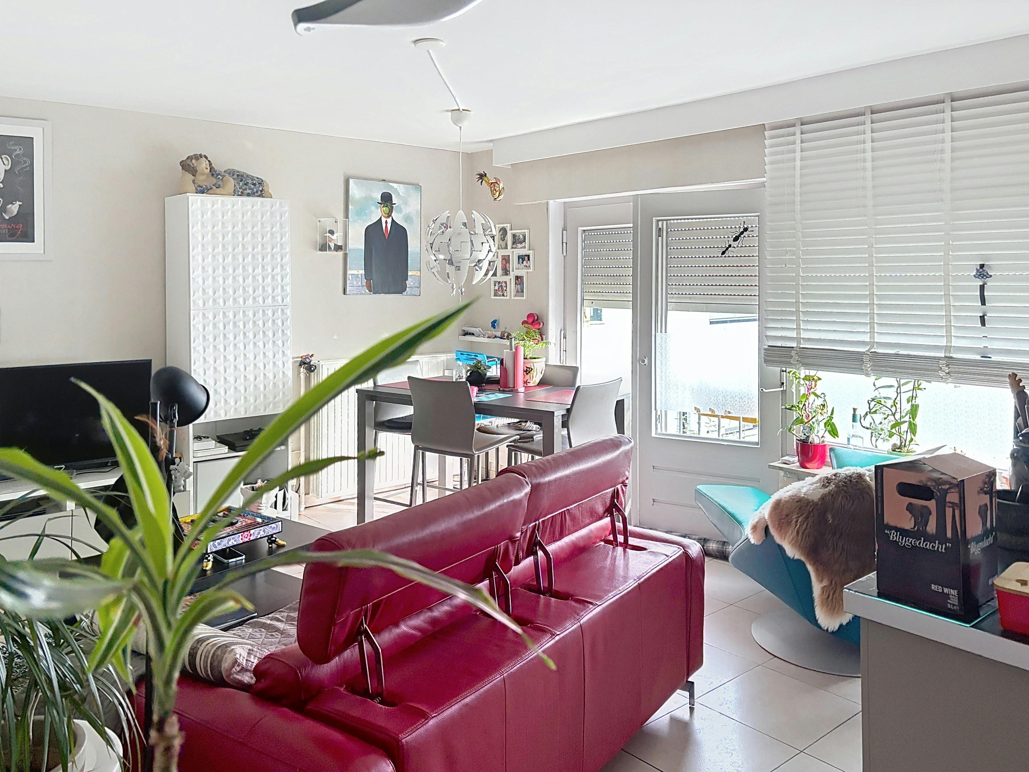 Uiterst ruim huis op 608 m² in Koksijde foto 5