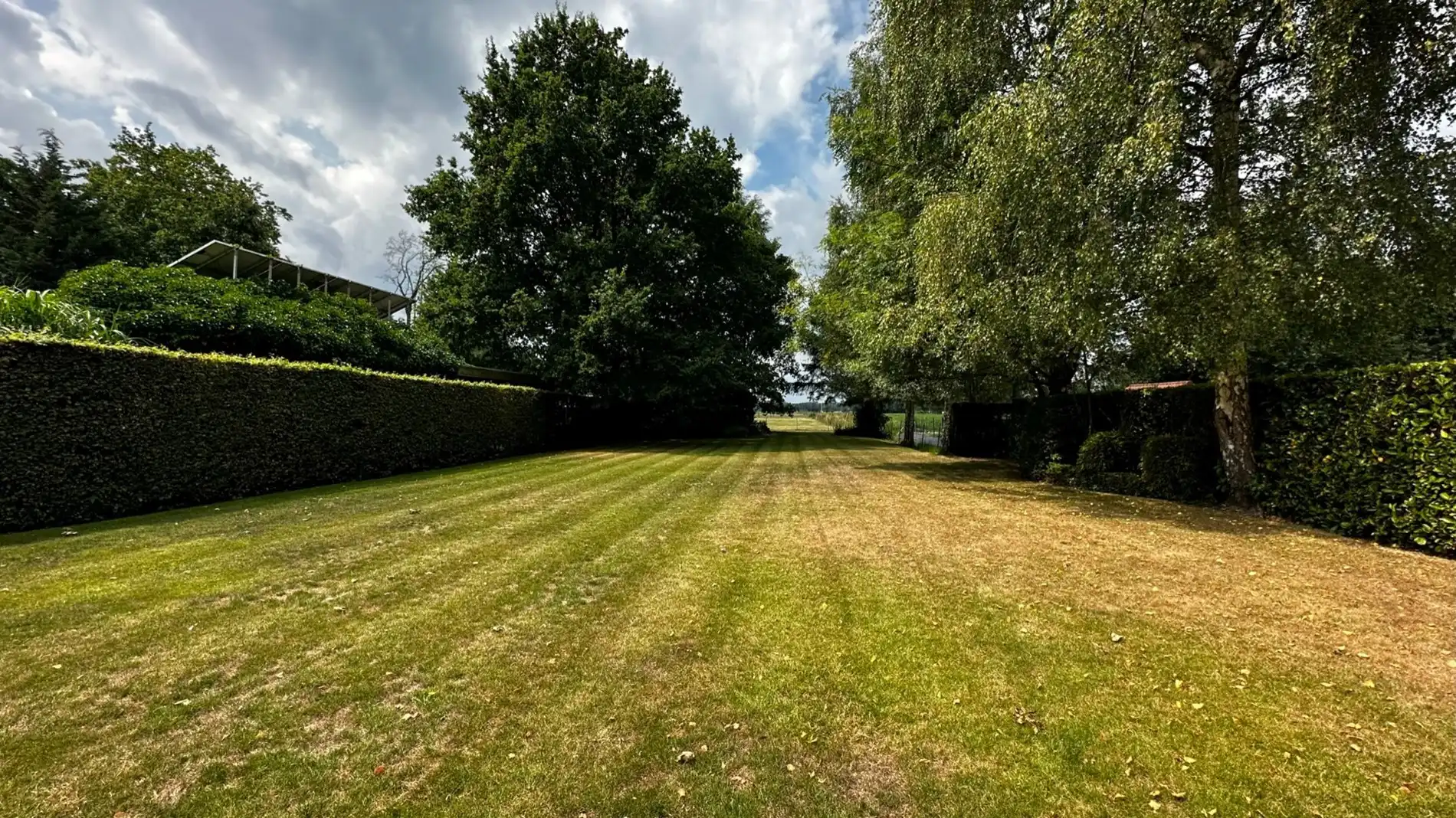 Ruime woning te Sinaai met weide foto 3