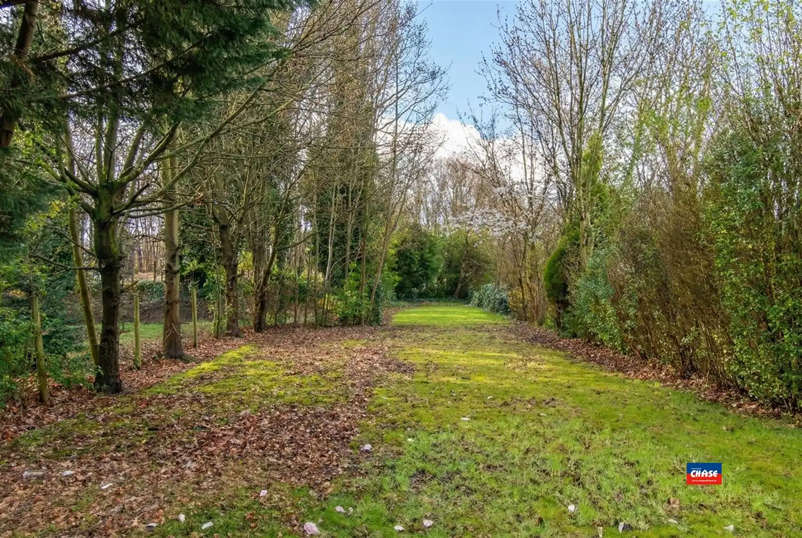 Halfopen gezinswoning met 3 slaapkamers, grote tuin én garage foto 21