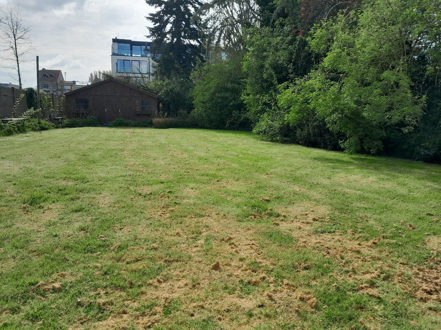 Karaktervolle, gerenoveerde en super energiezuinige woning met bureel, grote loods van 377m² en zonnig tuin nabij de Dampoort. foto 12