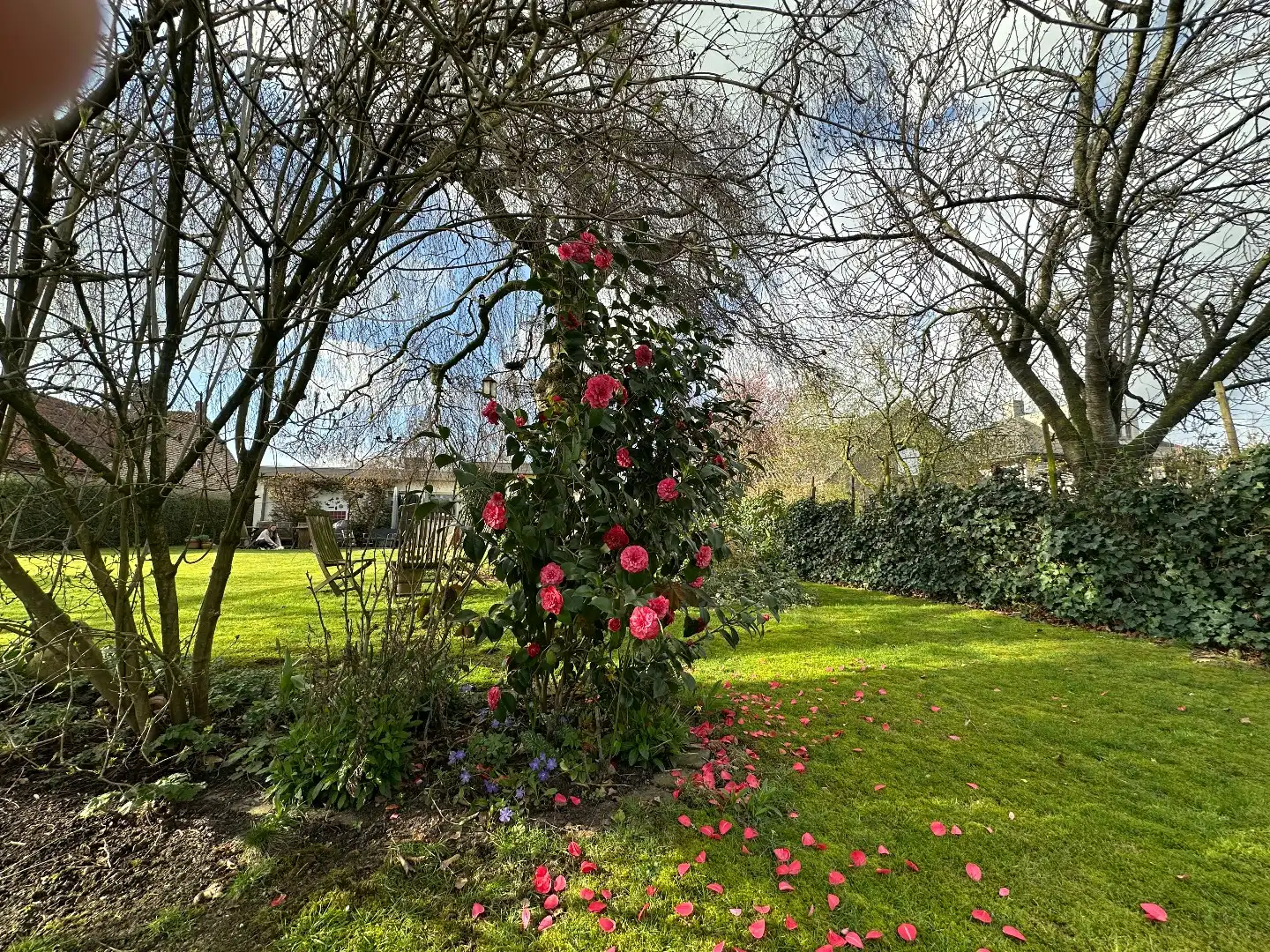 Vrijstaande woning met mooie tuin, perceel van 1158 m², Torhout. foto 30