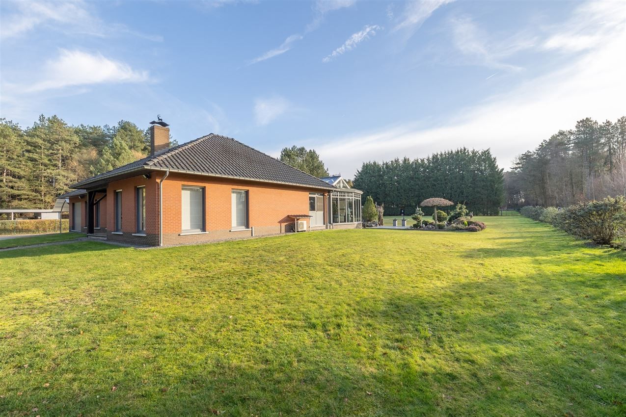 verborgen parel in het groen foto 37