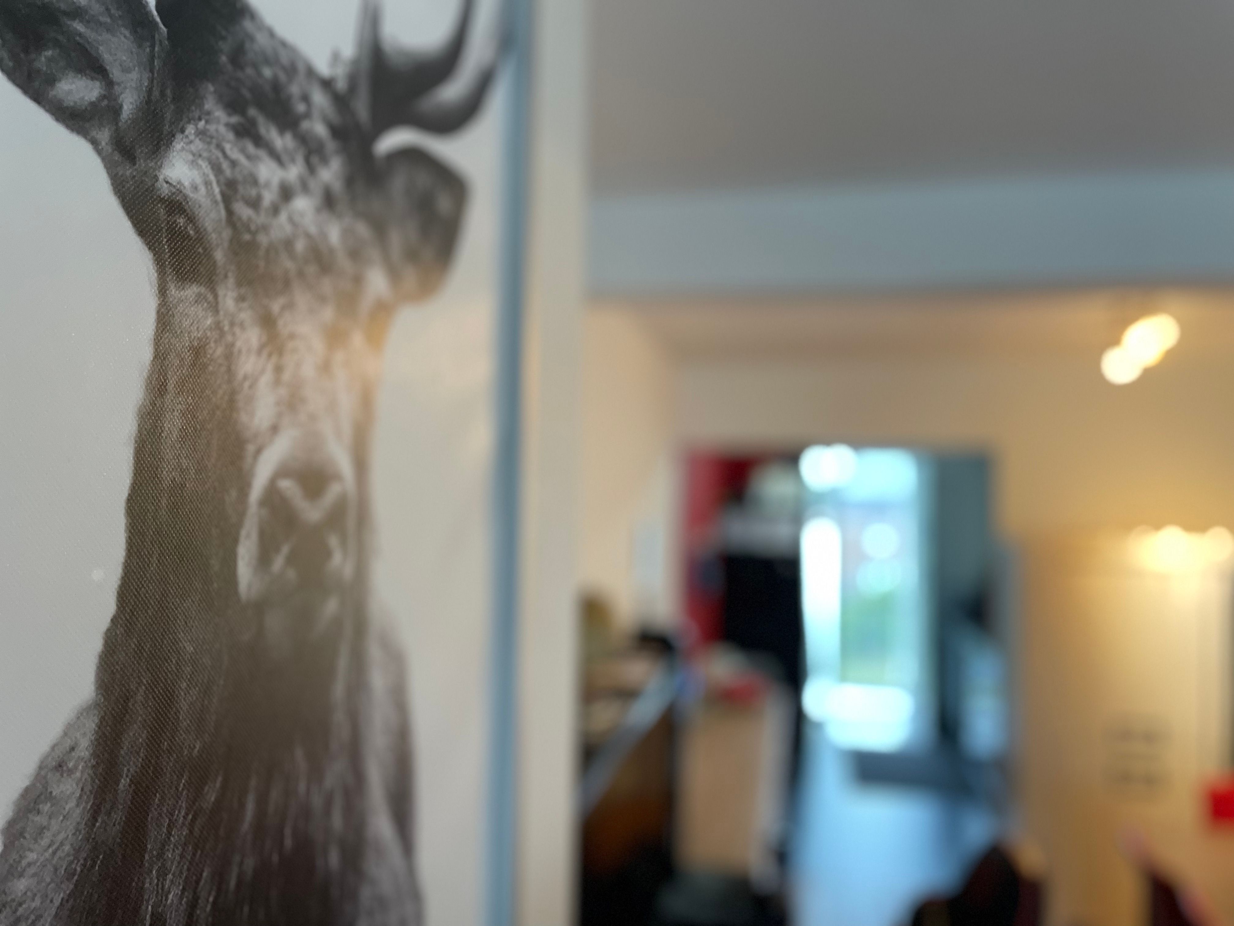 Super gezellig  twee slaapkamer appartement op de eerste verdieping foto 6
