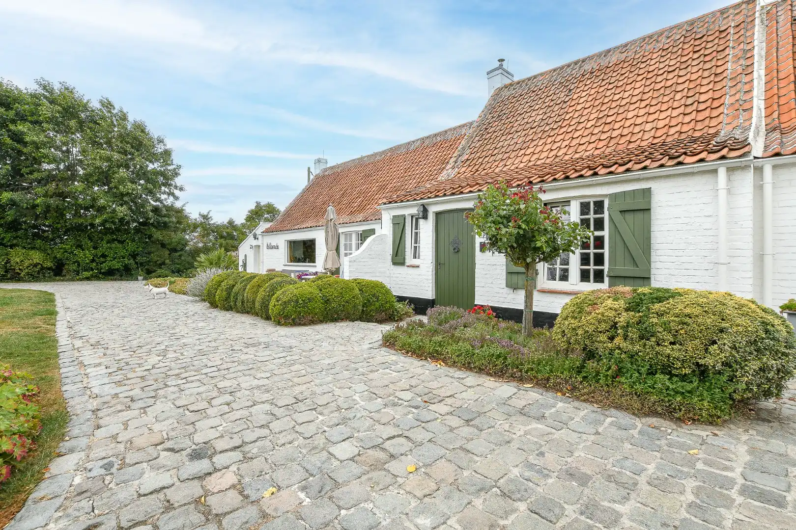 Karaktervolle hoeve met veel ruimte in een landelijke omgeving foto 19