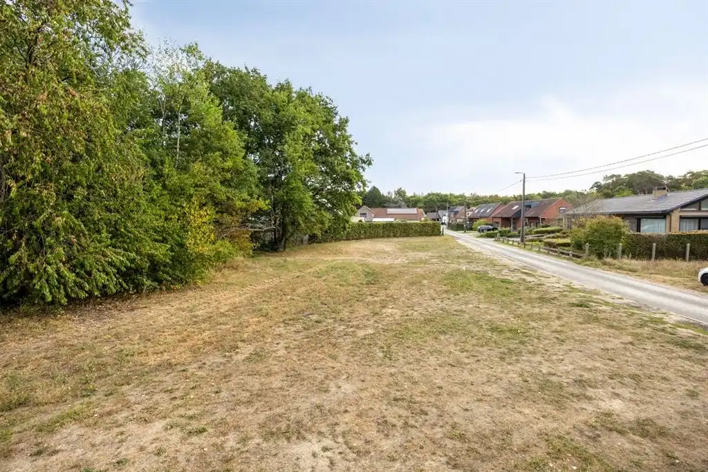 Knappe bouwgrond op een rustige locatie!  foto 8