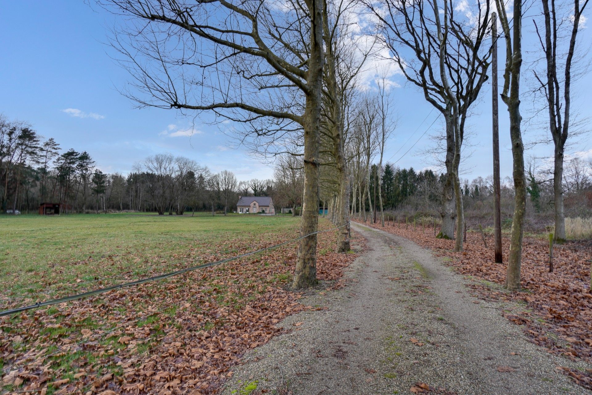 UNIEK LANDHUIS MET TOPLIGGING OP 2,55 HECTARE foto 4