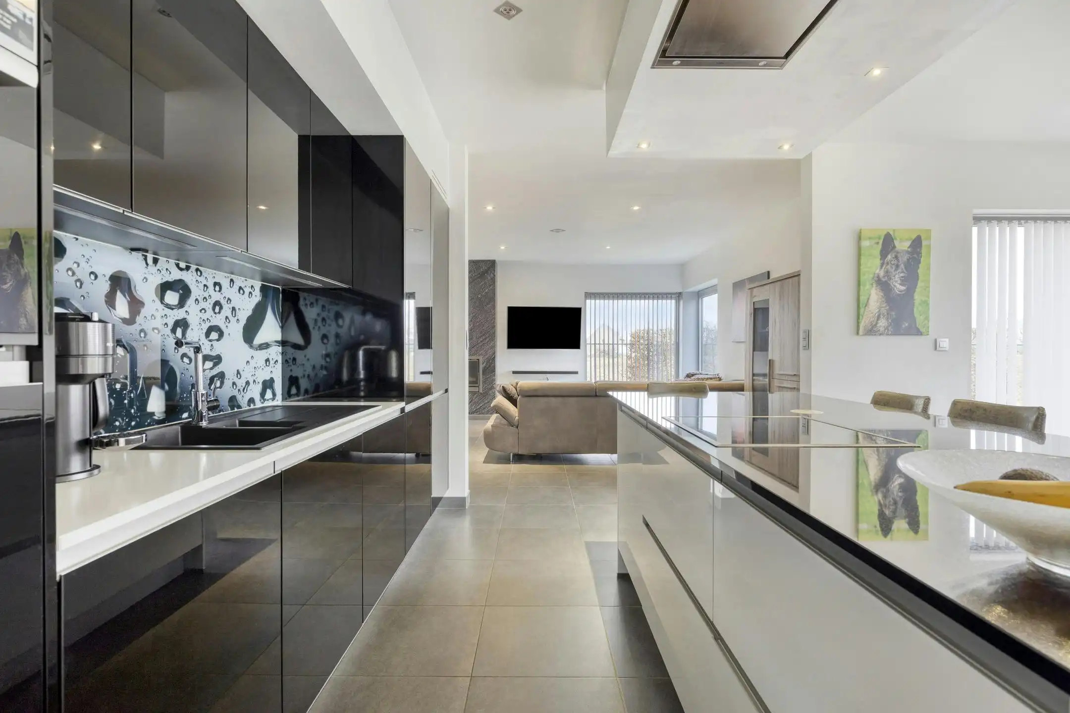 Modern alleenstaand huis te koop in Oppuurs foto 5