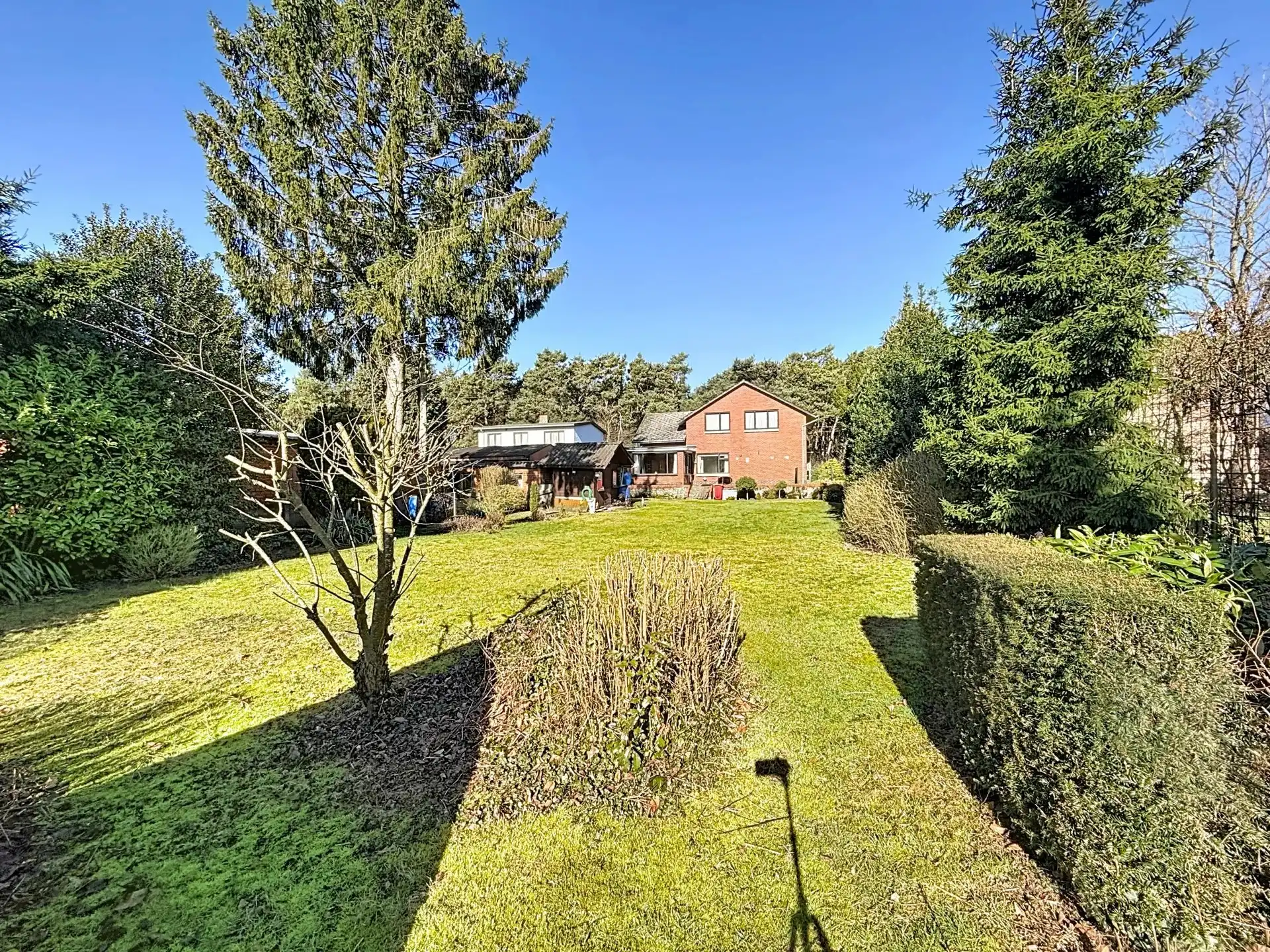 Te renoveren woning op een ruim perceel van 1350 m². foto 35