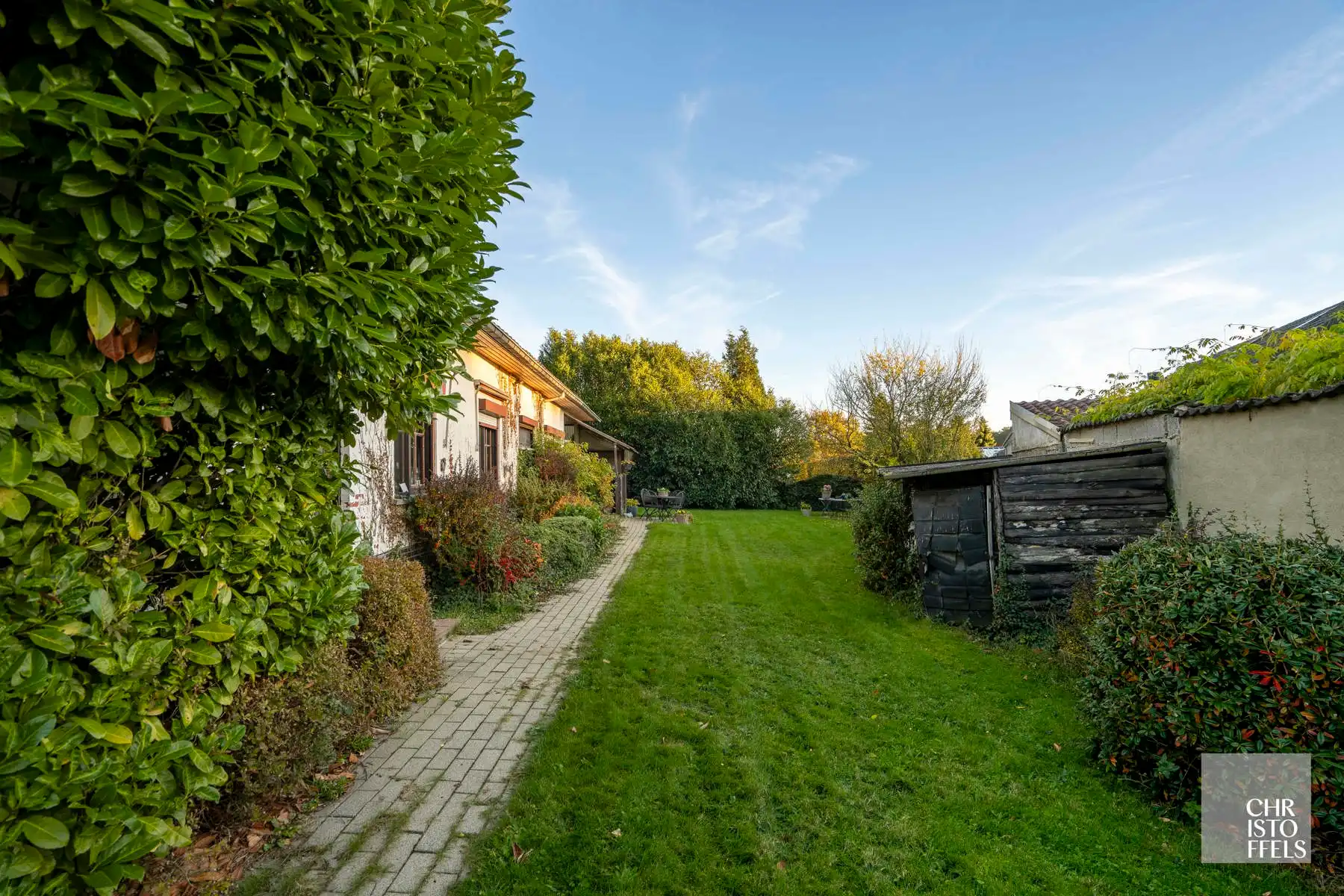 Ruim perceel (1.257 m²) met (ver)bouwpotentieel in het groene Zutendaal! foto 9