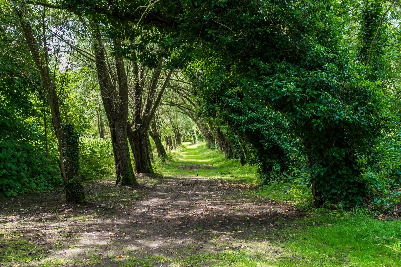 Ruime woning gelegen in een groene omgeving foto 18