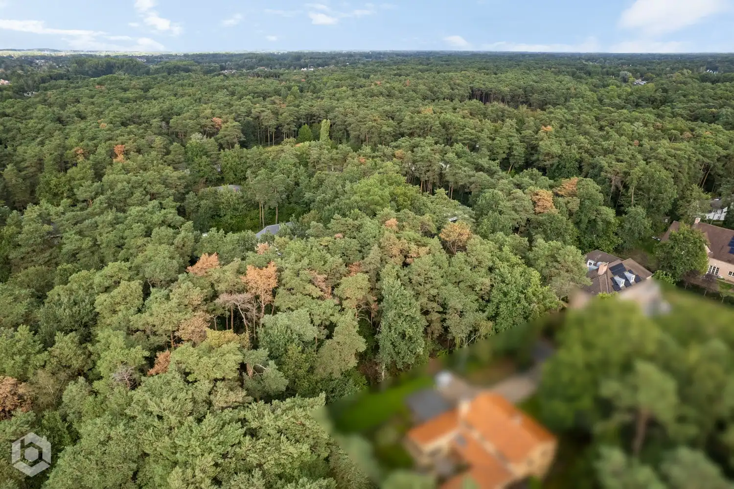 RUIME BOUWGROND VAN 2.690 M² VOOR OPEN BEBOUWING IN BOSRIJKE VILLABUURT foto 4