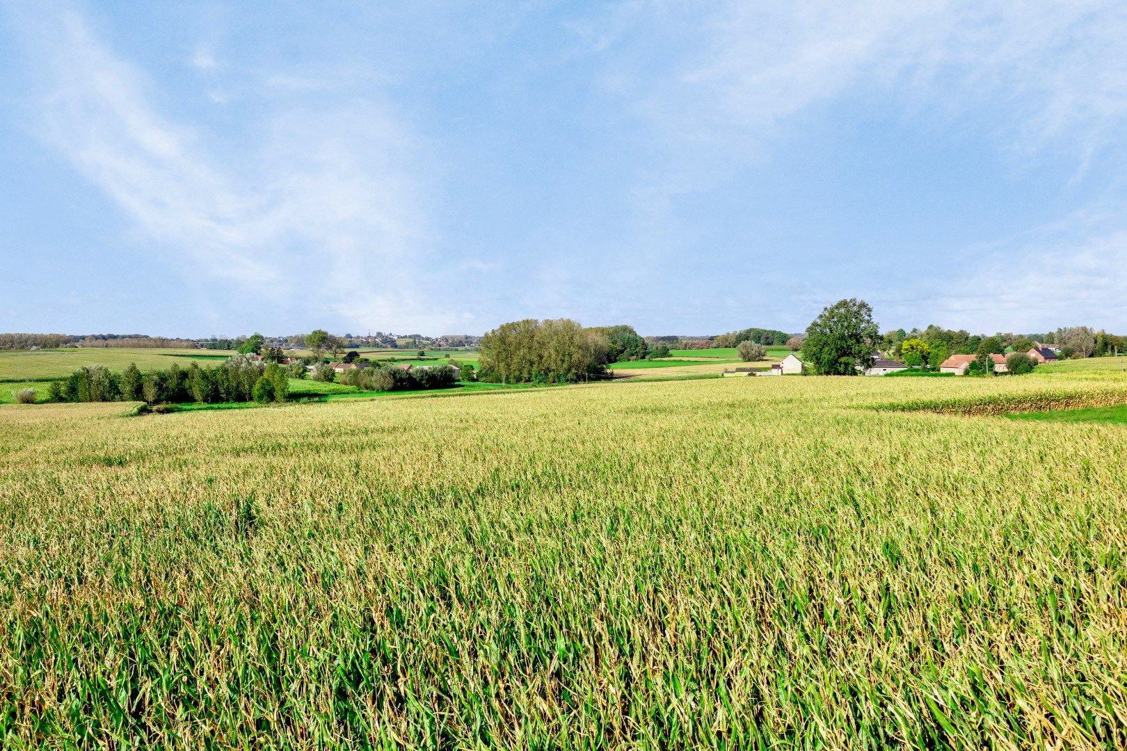 Bouwgrond (HOB) op 4a 97ca met uniek vergezicht op agrarisch landschap foto 7