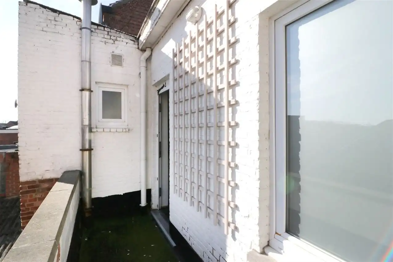 charmant, ruim, mogelijkheid beroep of kangoeroe foto 44