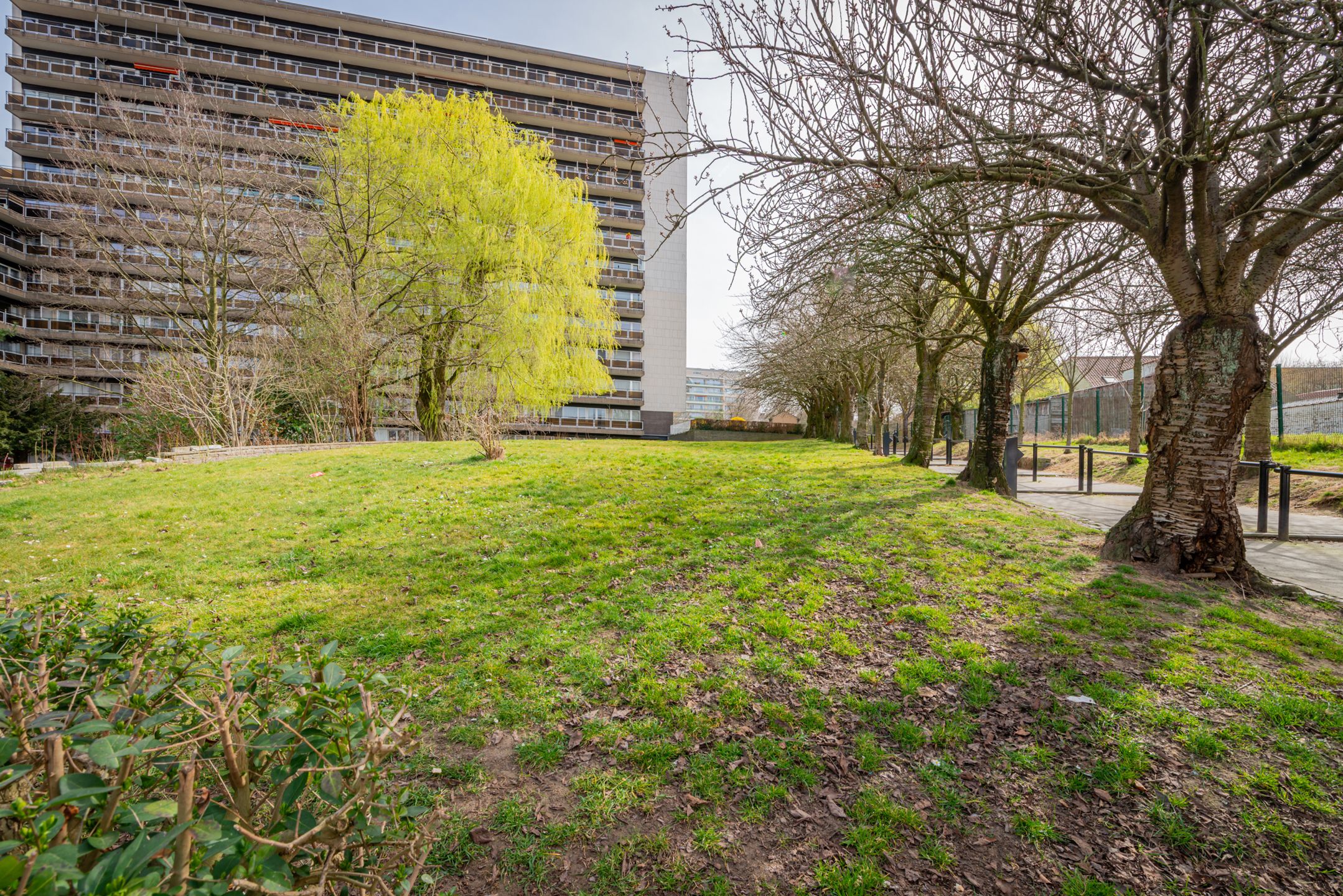Lichtrijk gelijkvloersappartement met ruim terras in Evere foto 22