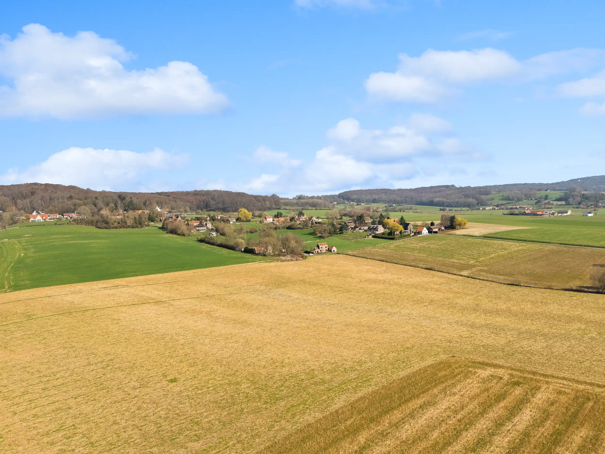 Prachtige bouwgrond te koop in het landelijke Amougies foto 6