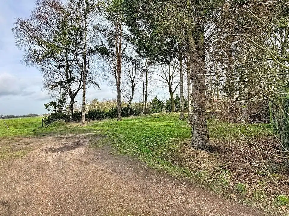 Rustig gelegen grond (997 m²) te koop in Wuustwezel foto 9