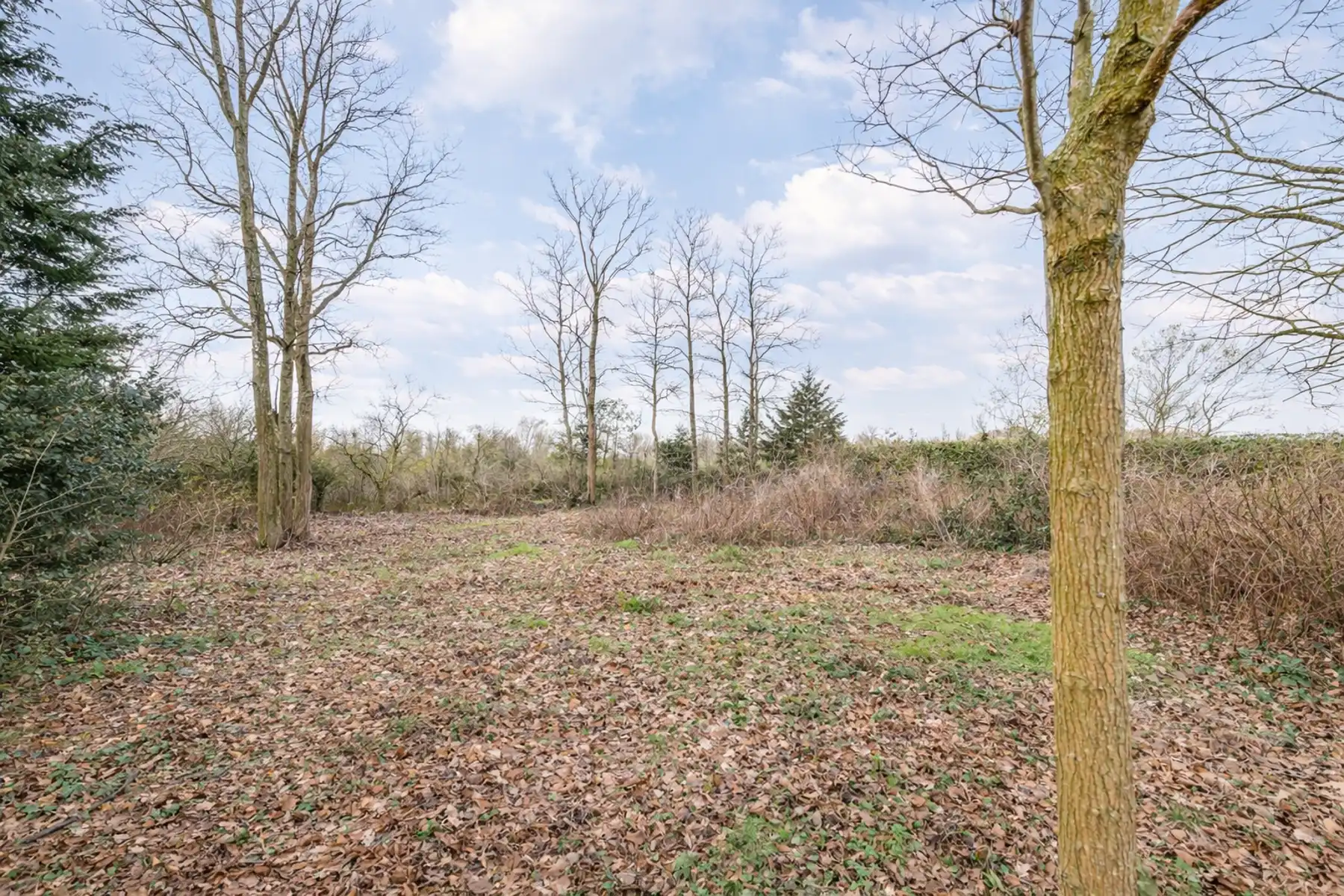 ruime gezinswoning op een prachtig perceel te Zele foto 12