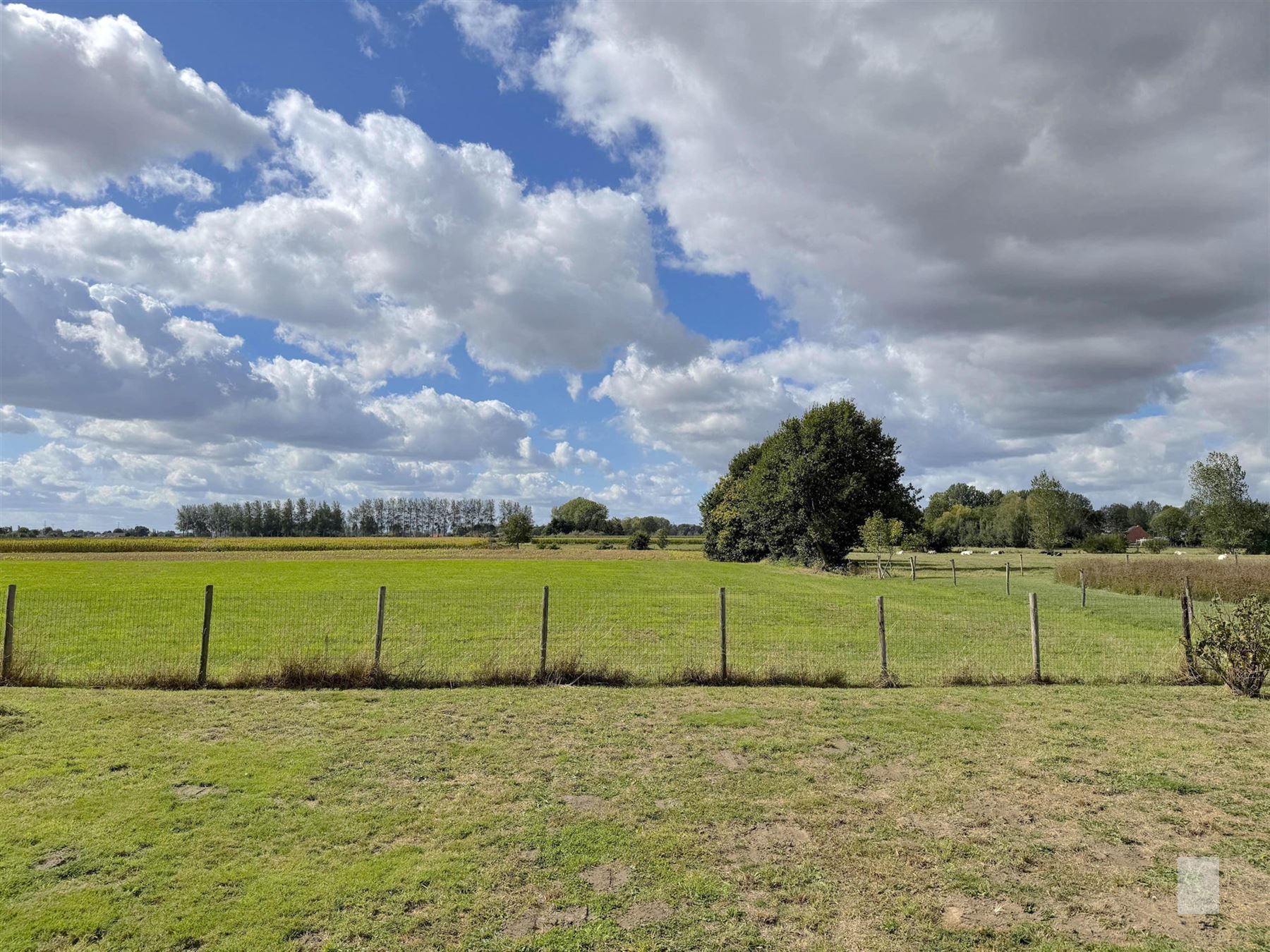 Bungalow met wijds uitzicht over de velden foto 6