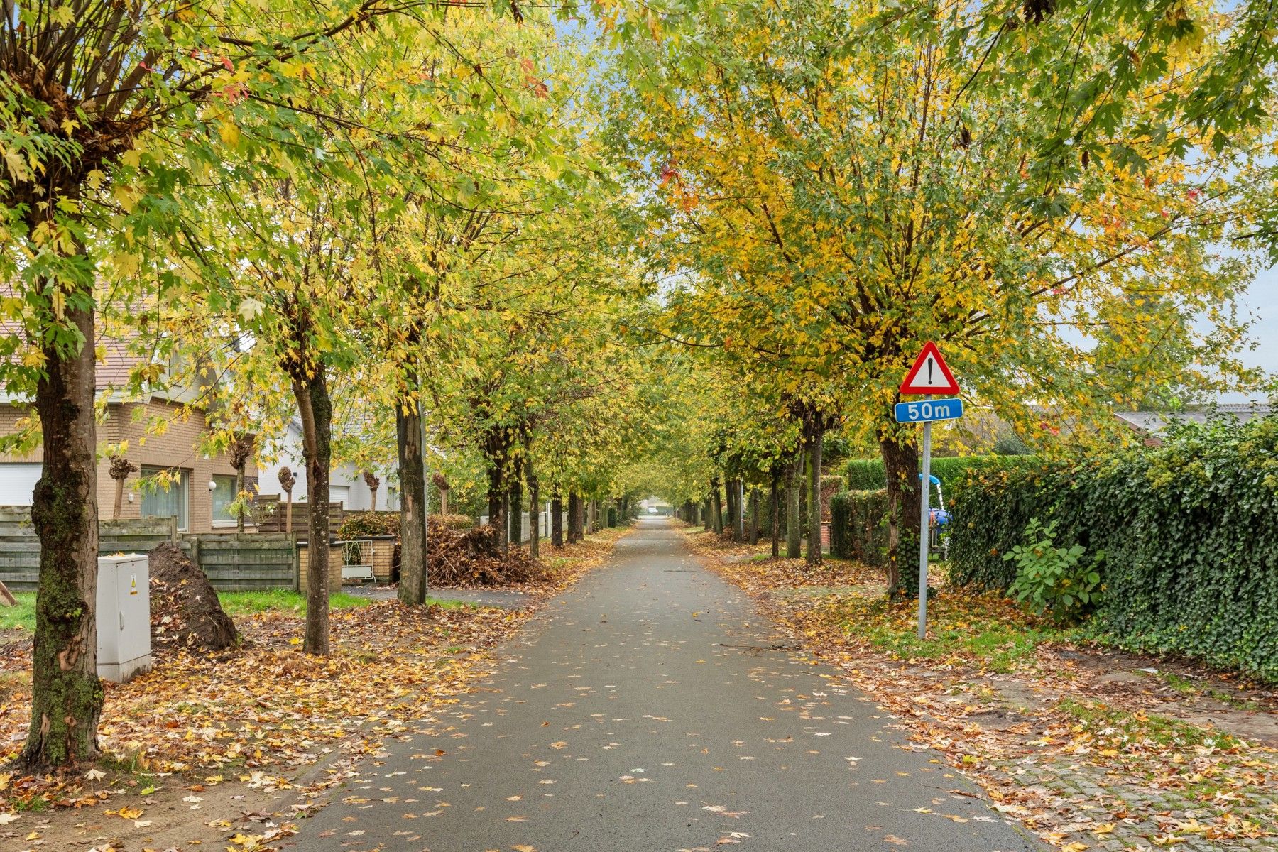 Ruime, te renoveren woning in het mooie Laarne foto 2