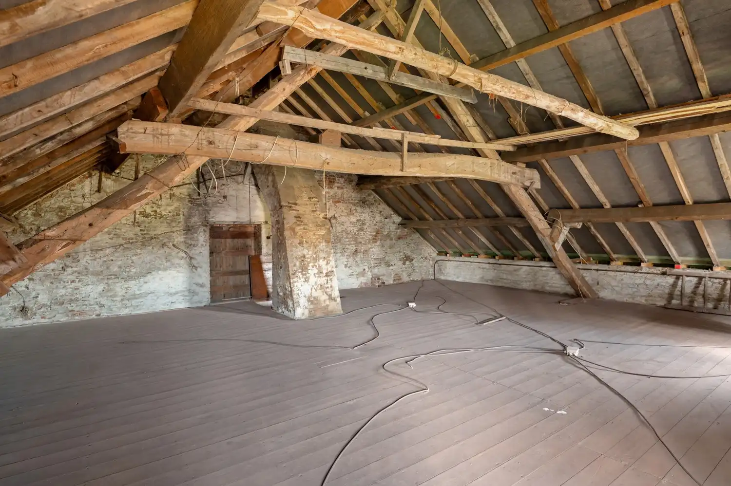 Landelijke woning met 5 slpkrs en bijgebouw op 1 ha te Putte foto 4