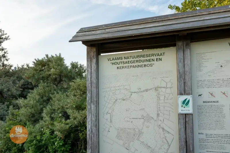 Te renoveren 5 slaapkamer appartement of 2 twee-slaapkamer appartementen - Diga Verde 0.10 + 0.11 foto 13