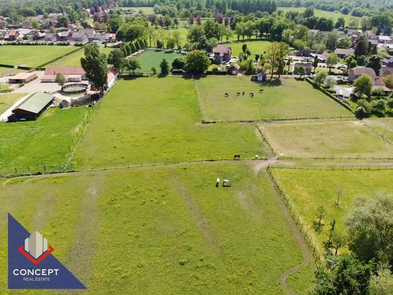 Instapklare woning met 3 slaapkamers met achterliggende paardenweides. foto 54