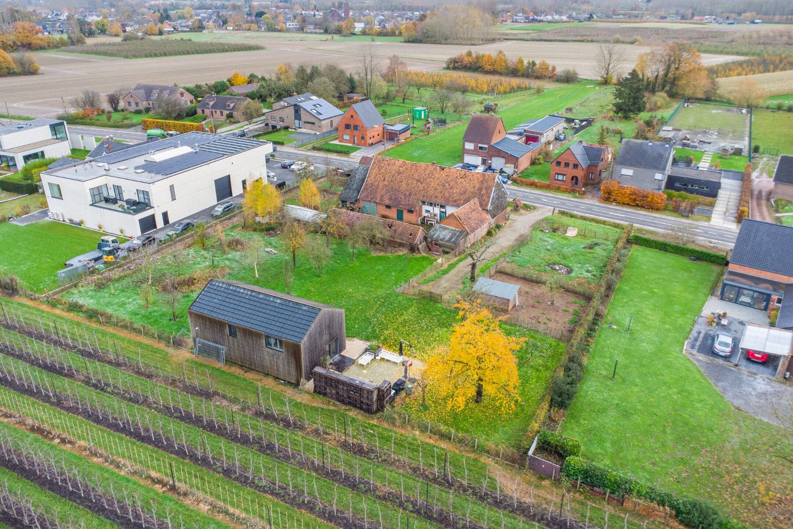 Authentieke te renoveren hoeve + nieuwbouwwoning op een perceel van 39a 26ca! foto 29