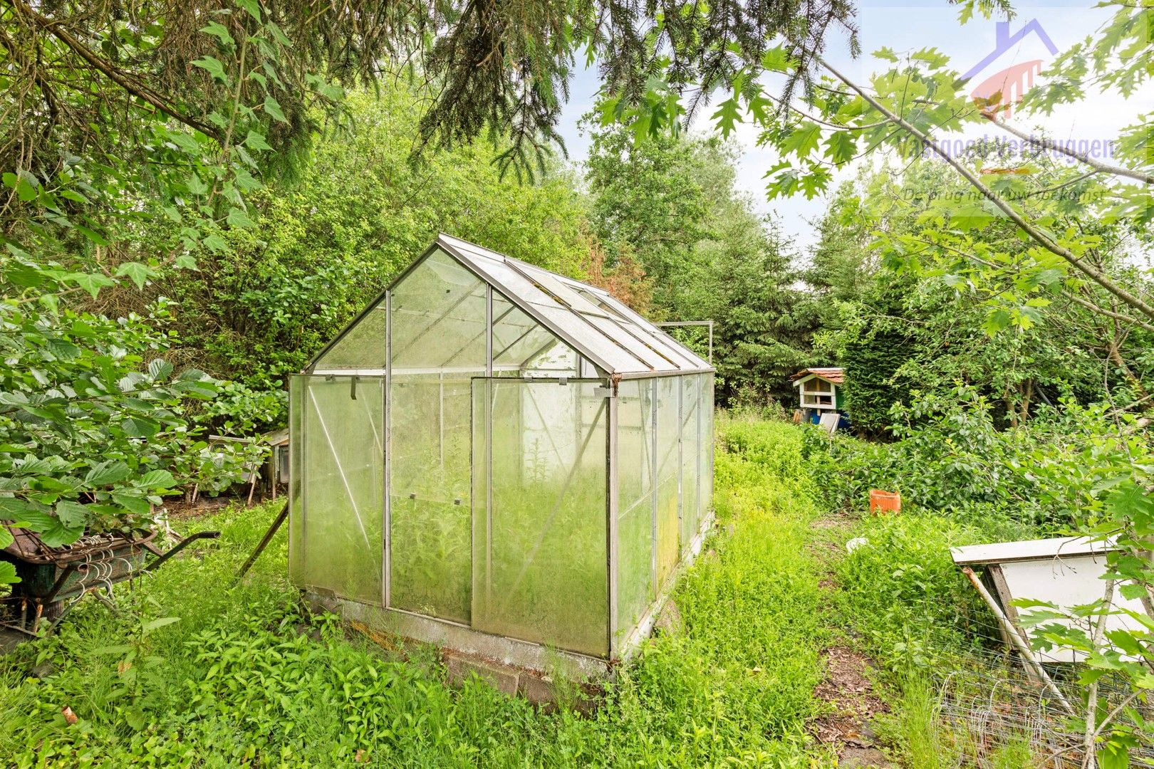 Rustig gelegen te renoveren halfopen bebouwing op ruim perceel van 16 are! foto 20