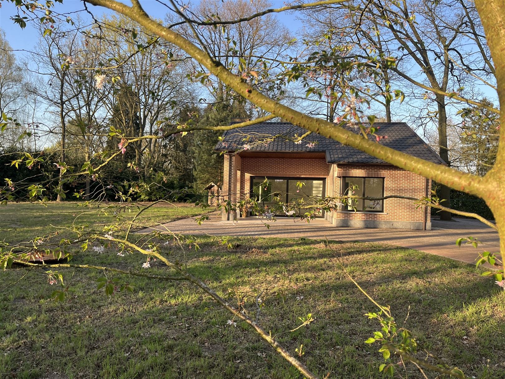 Grondig opgefriste vakantiewoning met grote tuin foto 17