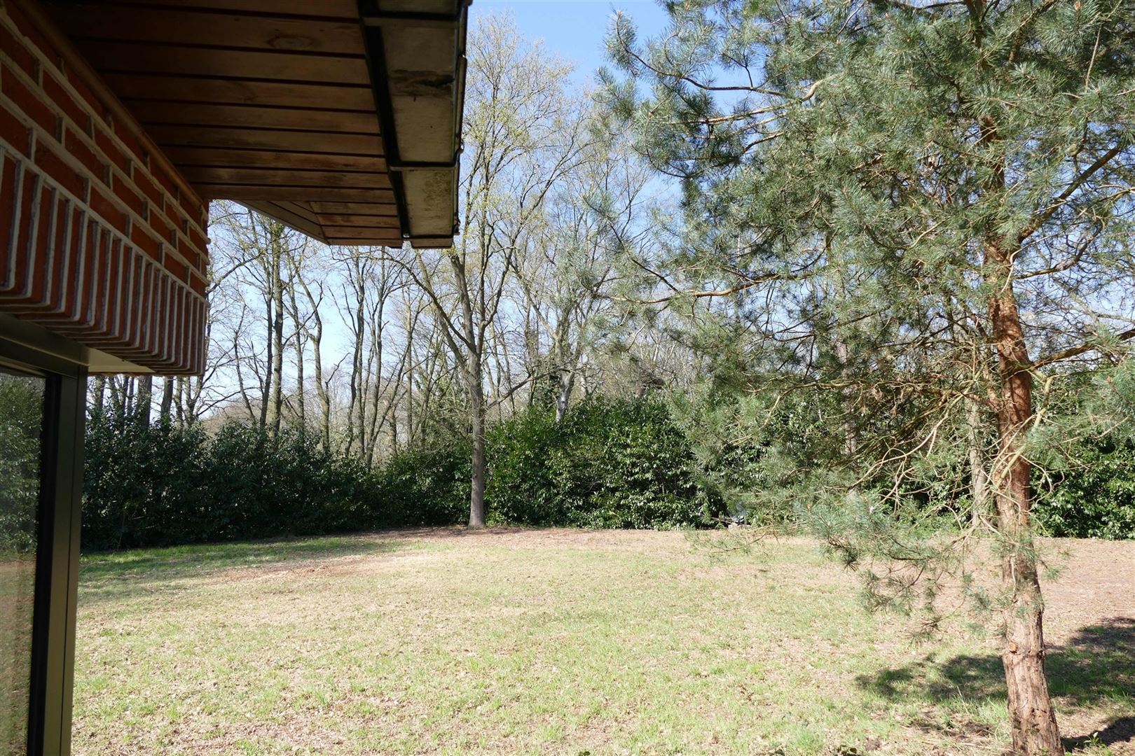 Grondig opgefriste vakantiewoning met grote tuin foto 17