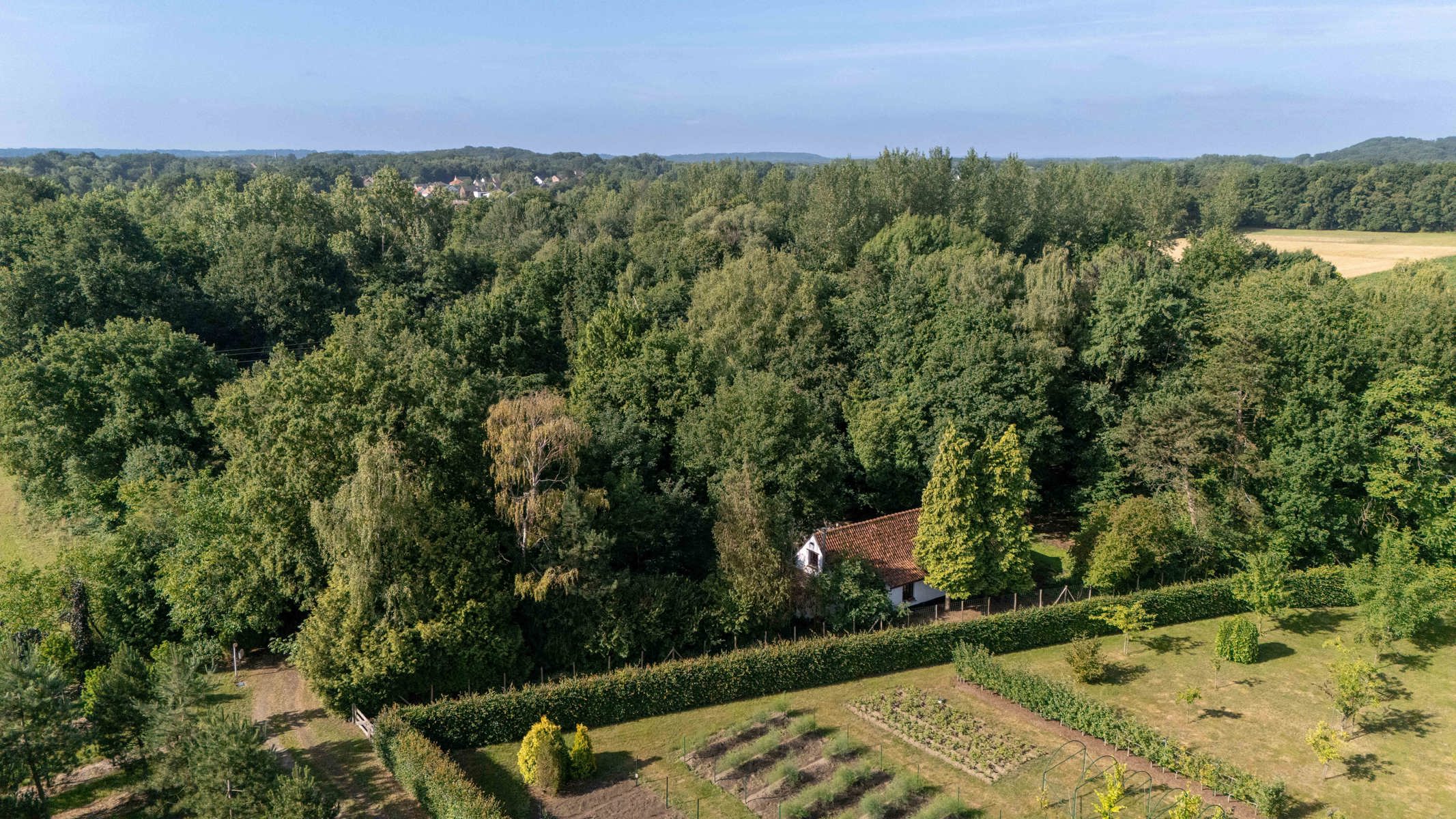 Unieke hoeve op domein van 1,5 ha – pure rust en natuurbeleving in het groen foto 21