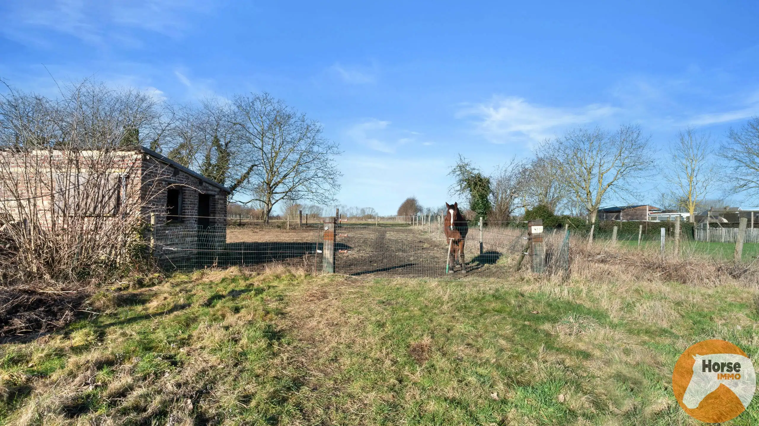 BAMBRUGGE – Landelijke woning met weide en schuur  foto 24