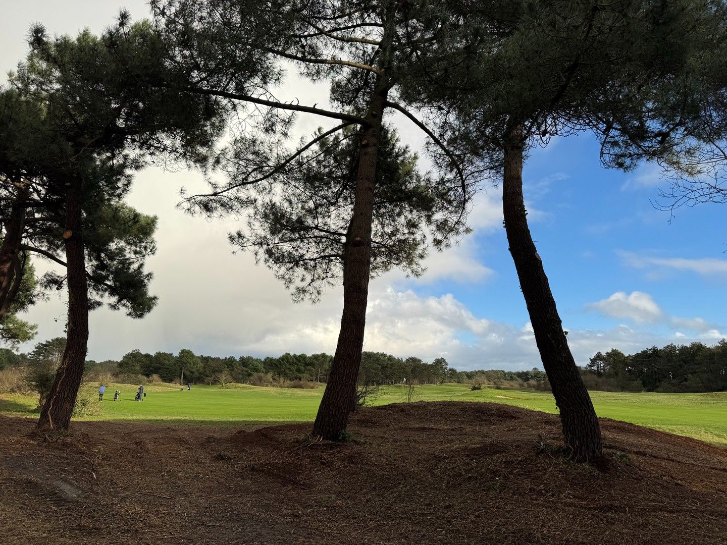 Te renoveren charmante koppelvilla gelegen in een paadje met panoramisch open zicht op de Royal Zoute Golf. foto 15