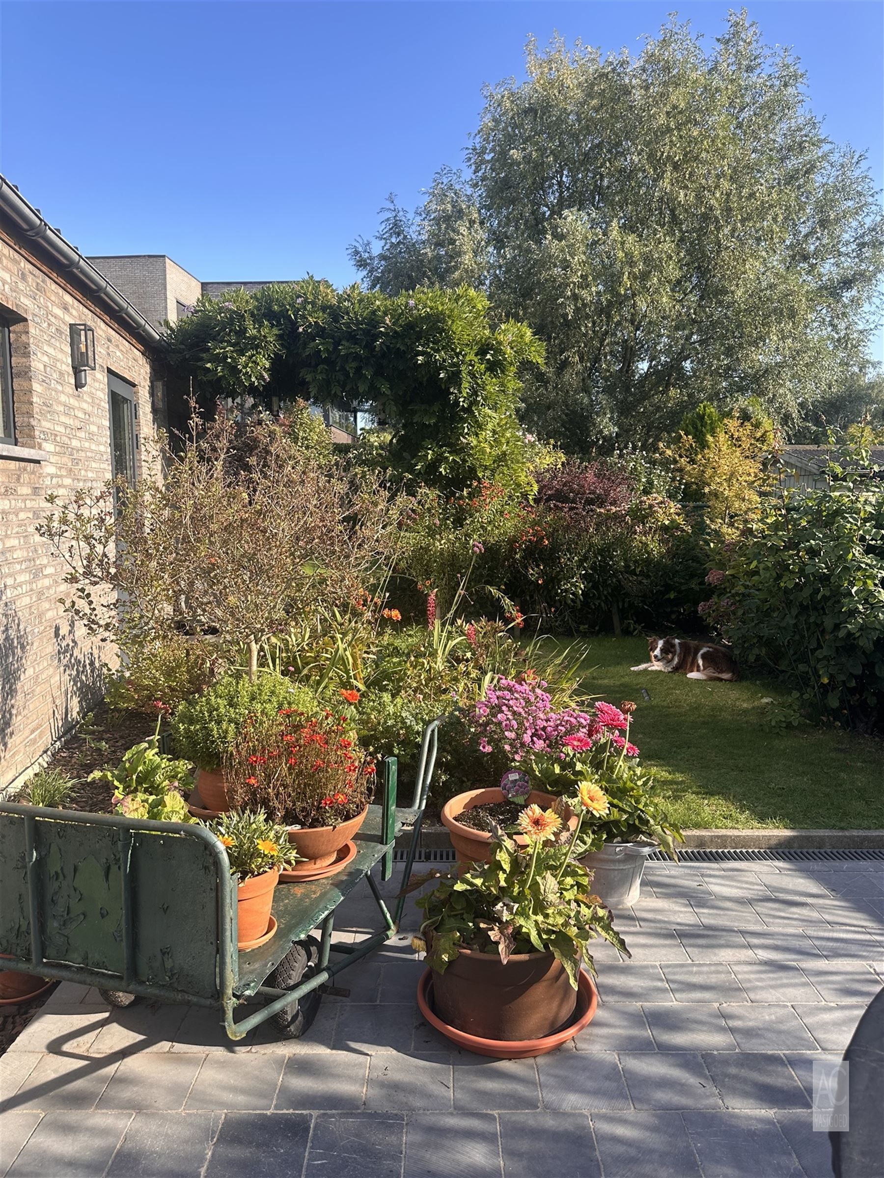 Recente halfopen bebouwing met 3 slaapkamers en garage foto 24