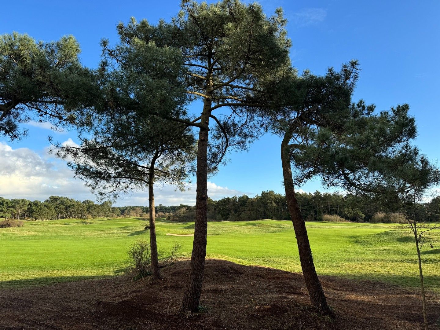 Te renoveren charmante koppelvilla gelegen in een paadje met panoramisch open zicht op de Royal Zoute Golf. foto 13