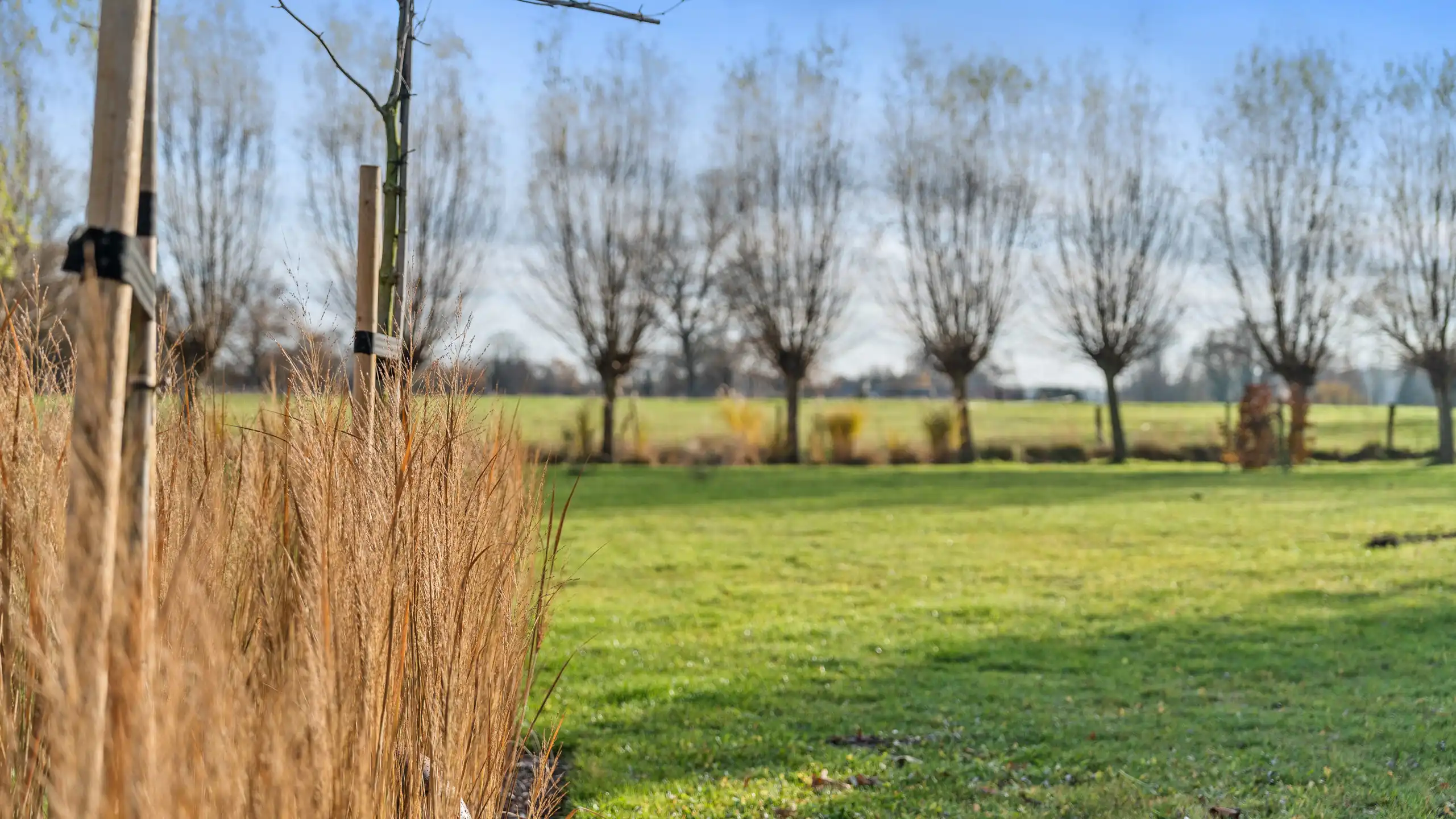 Boerderij te koop foto 66