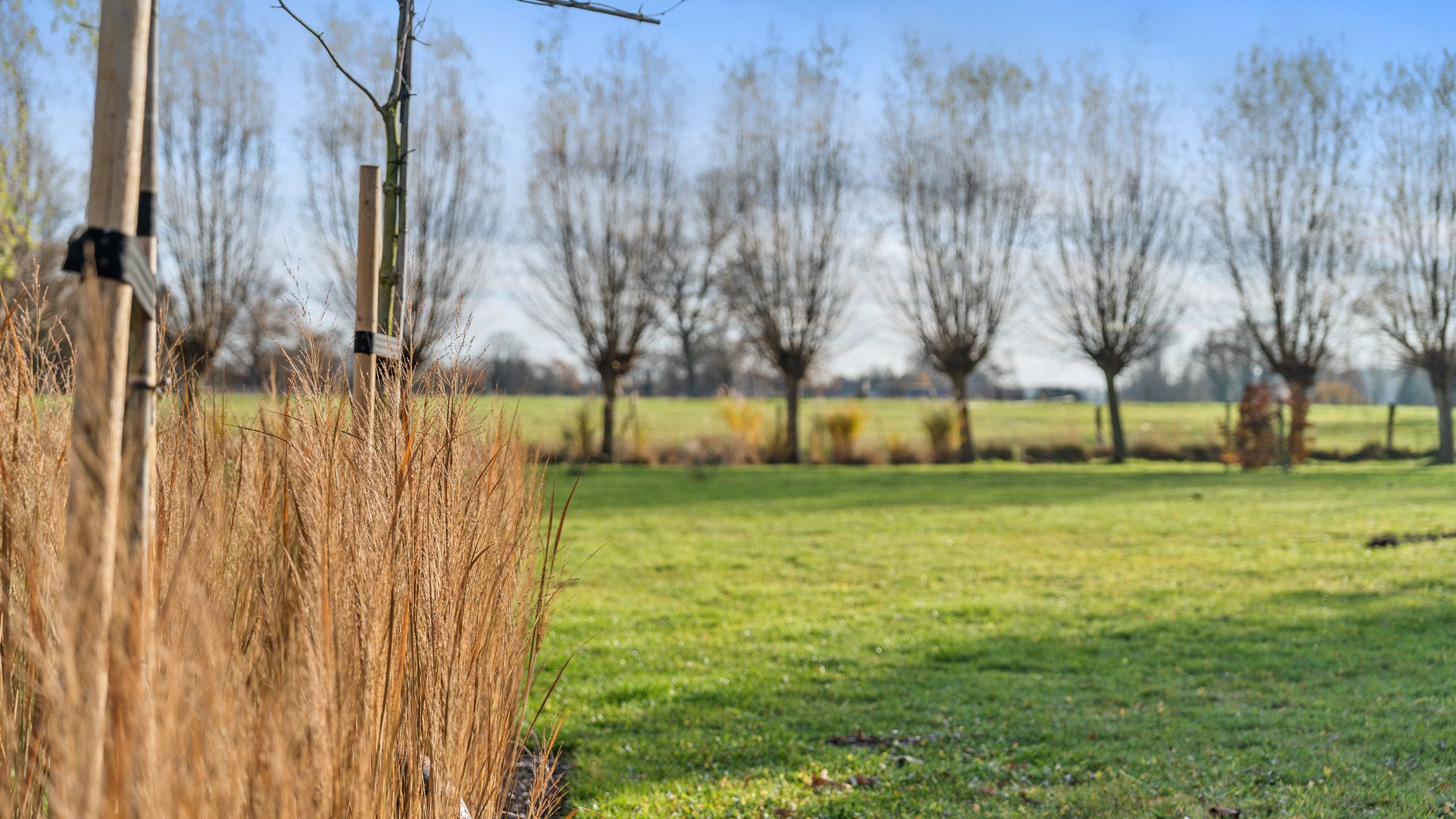 Boerderij te koop foto 68