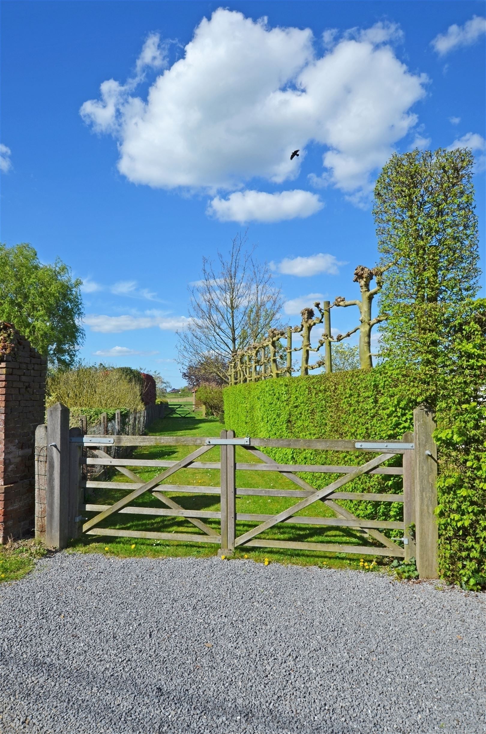 Landelijk gelegen vierkantshoeve op ±1.4Ha foto 27