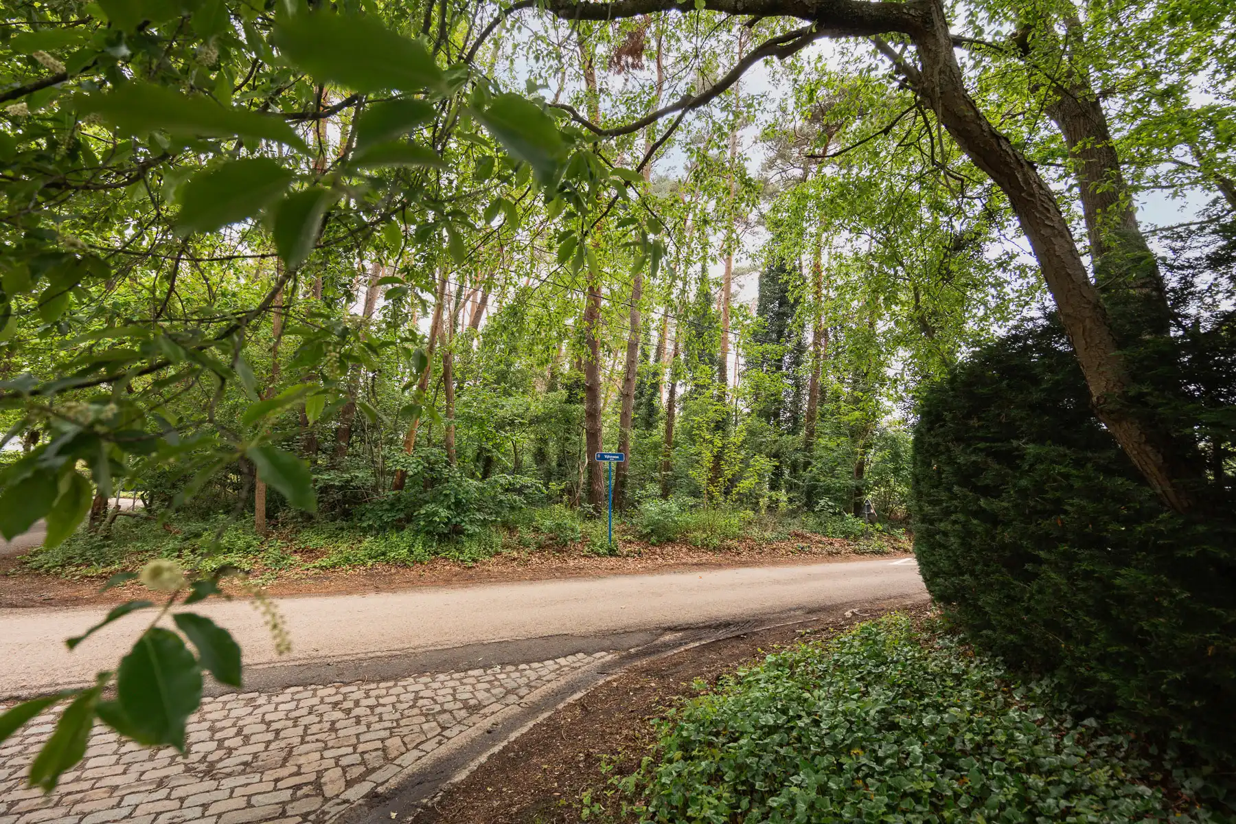 Exclusieve, ruime bouwgrond in het groen foto 8