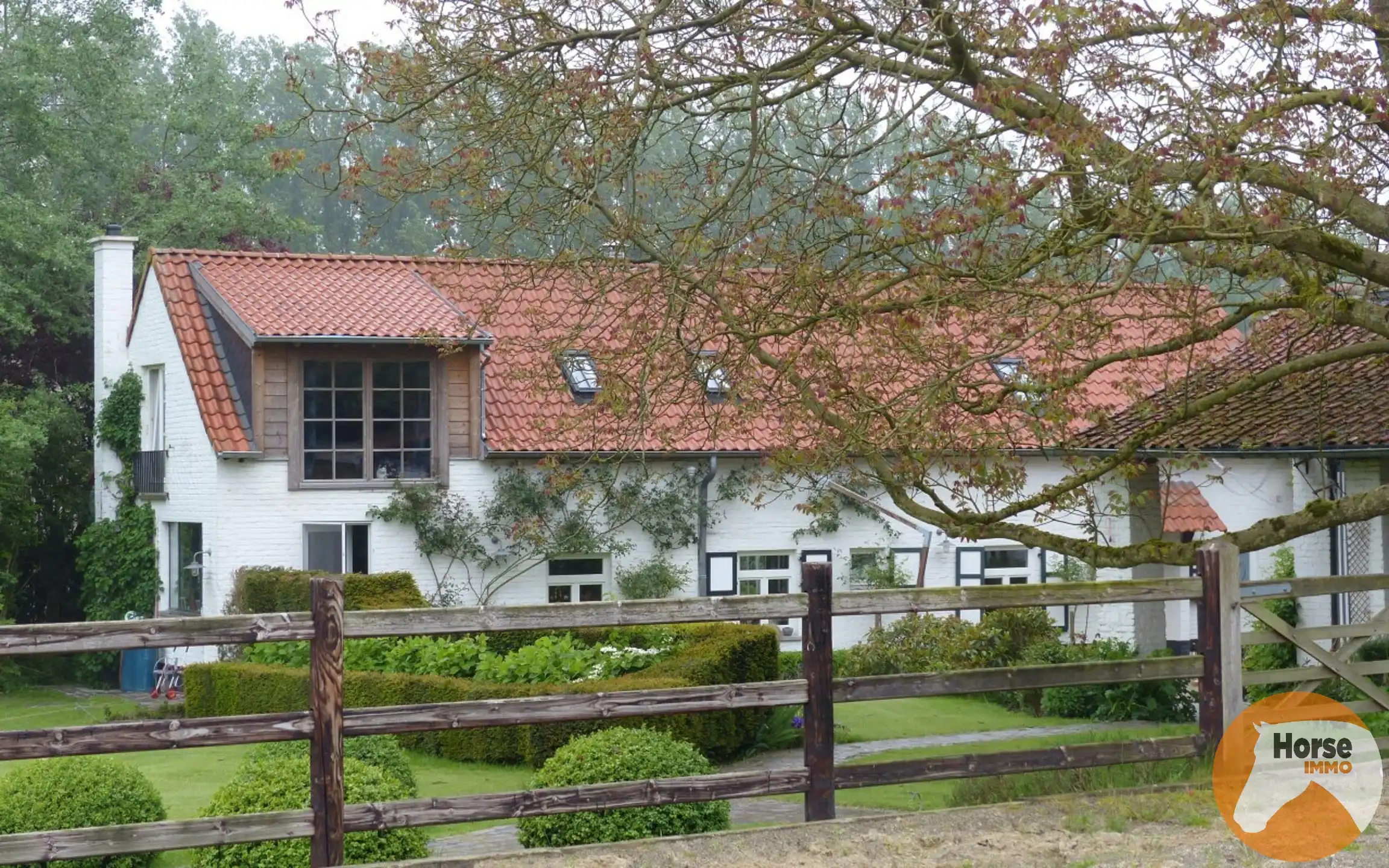 Hoofdfoto van de publicatie: HALLE – Charmante woning met stallen op 1,15ha aan Hallerbos