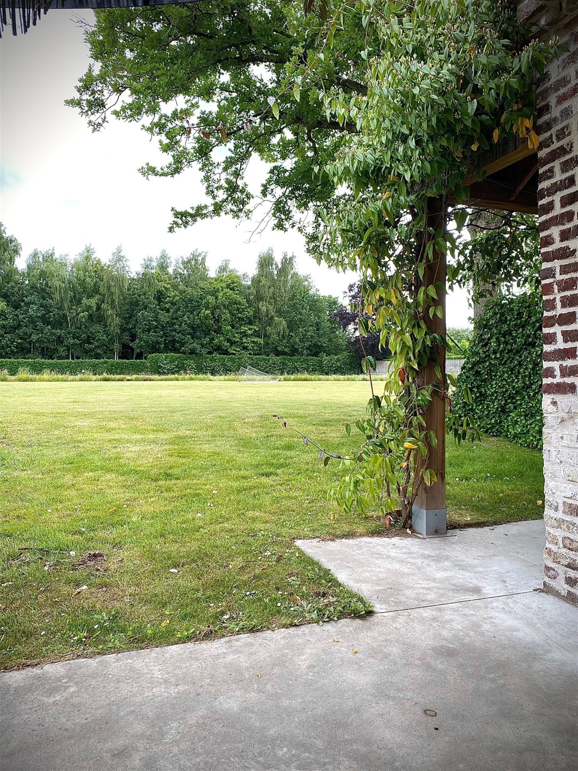 Charmante WONING (open bebouwing) met 3 SLAAPKAMERS, TUINTJE & TERRAS, zowel voor- als achteraan een OPEN GROEN ZICHT foto 12