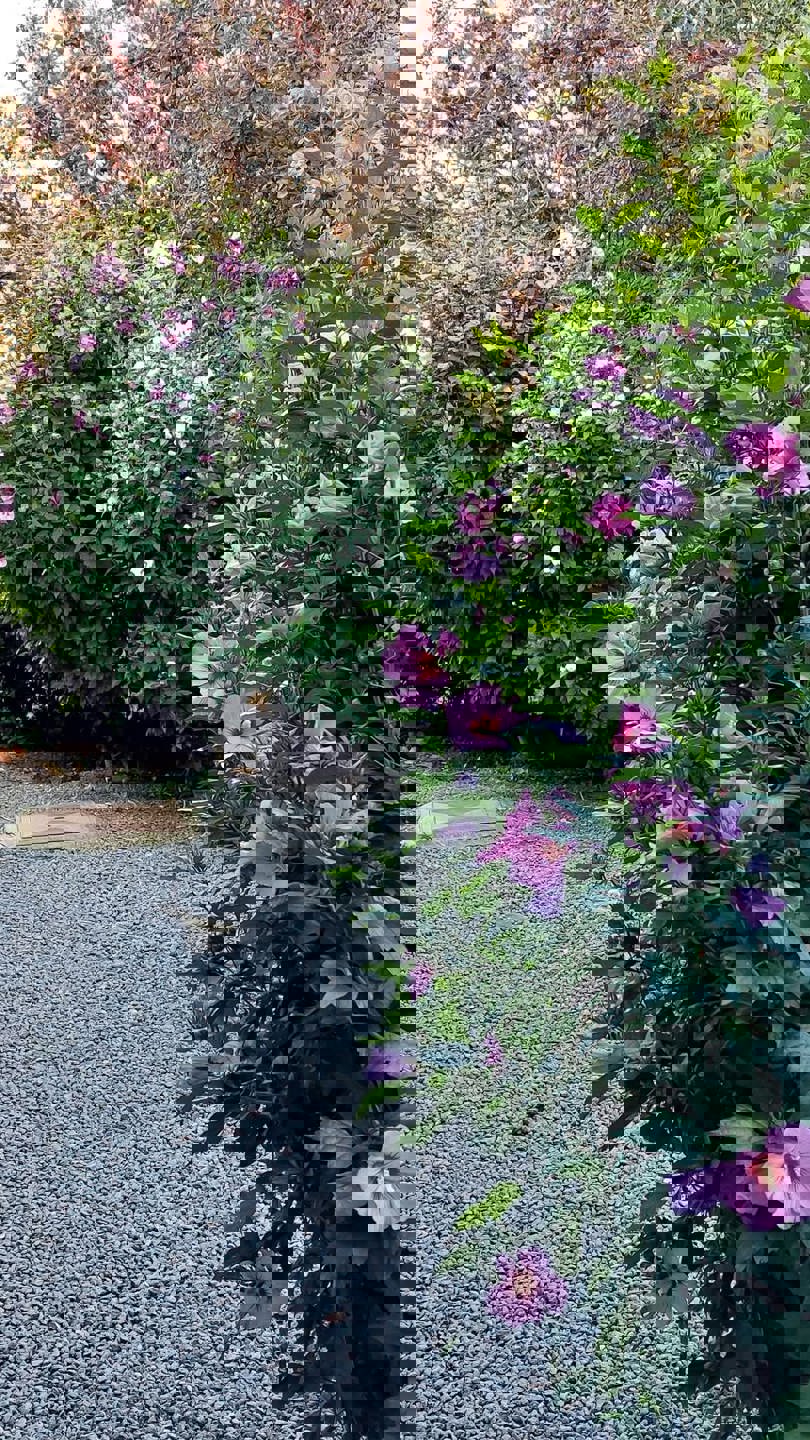 Zeer aangename en charmante woning te Lettelingen foto 32