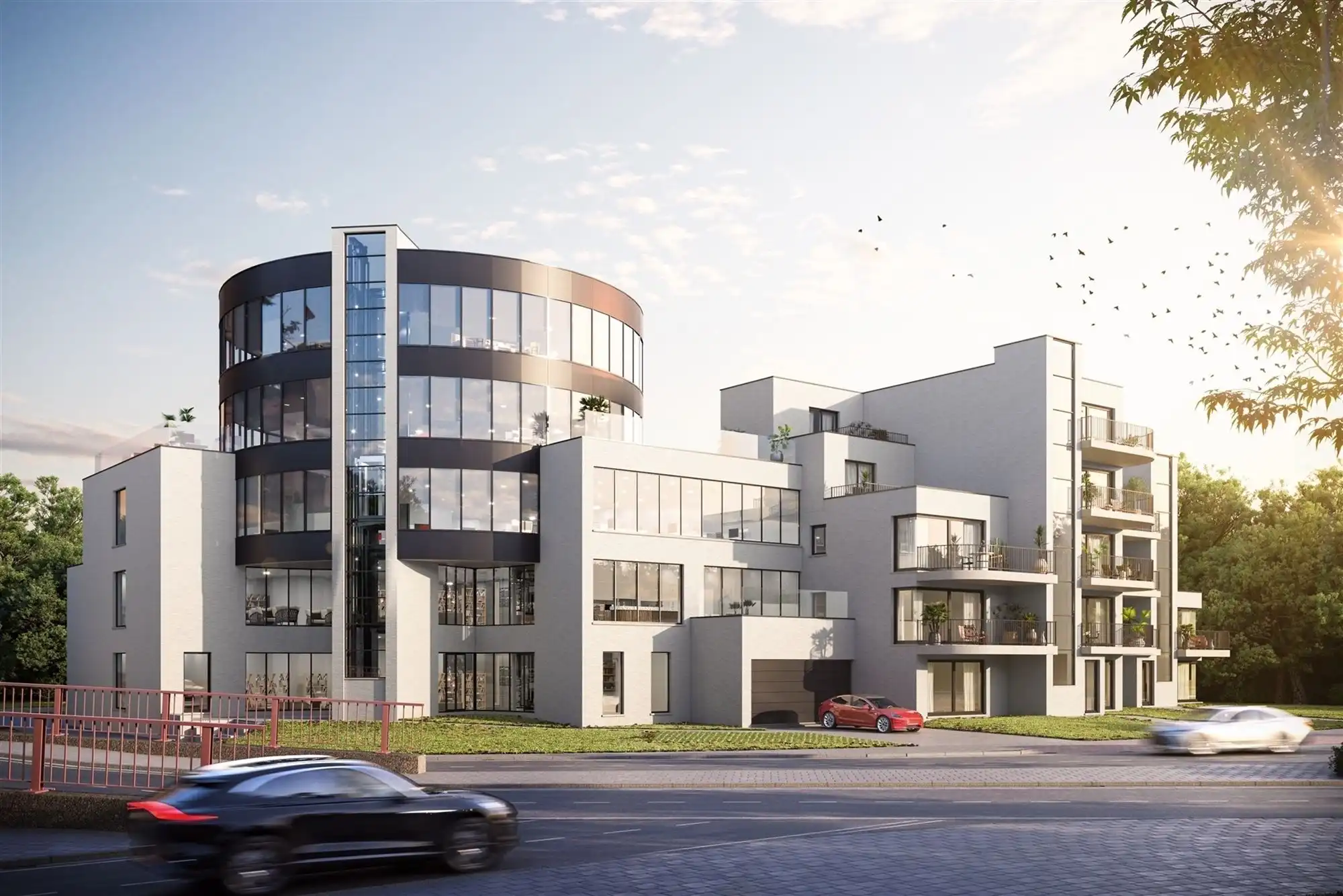 Andere foto {{pictureIndex}}