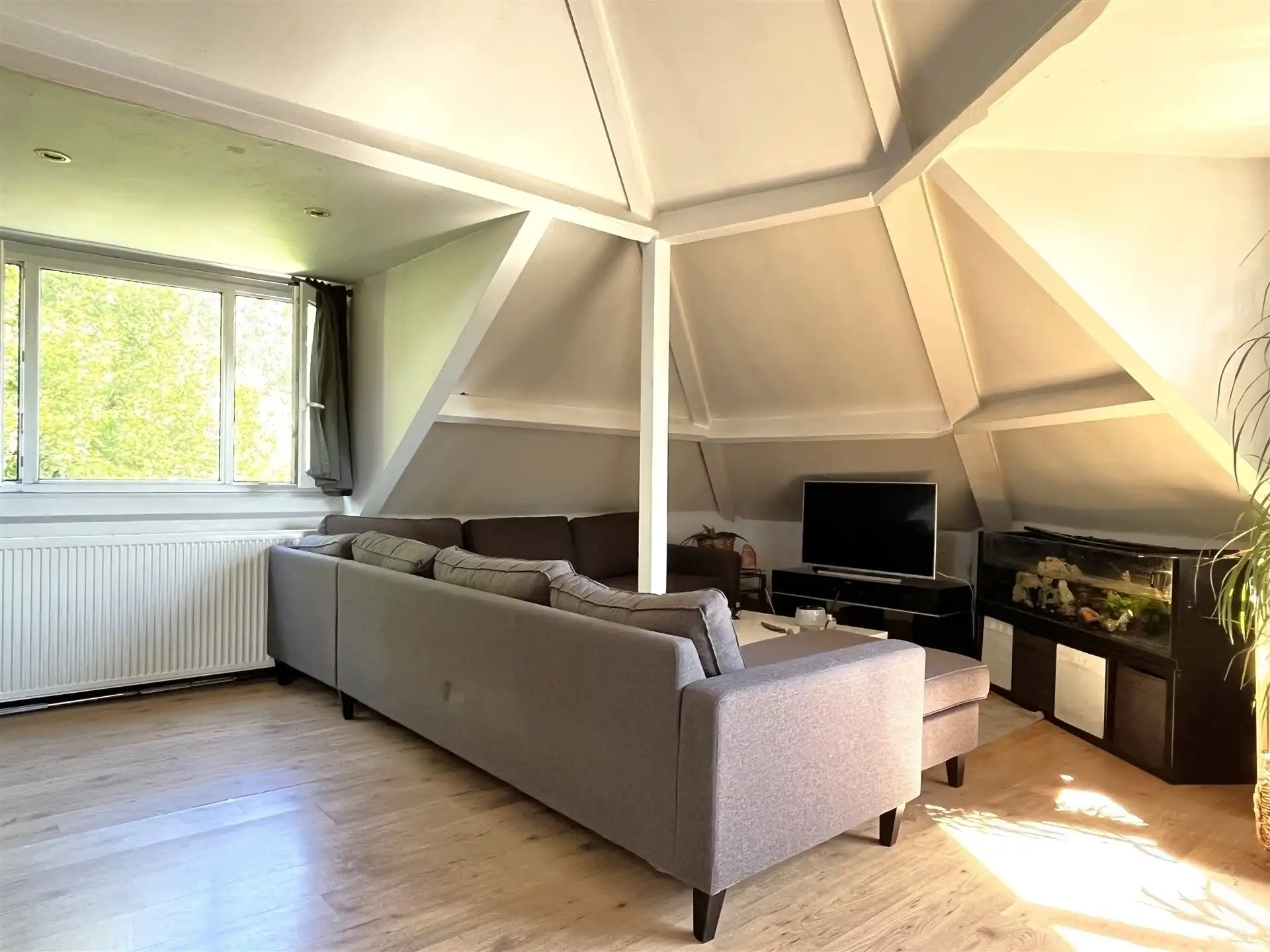 Fijn 1 slaapkamer appartement  in Wilrijk! foto 2