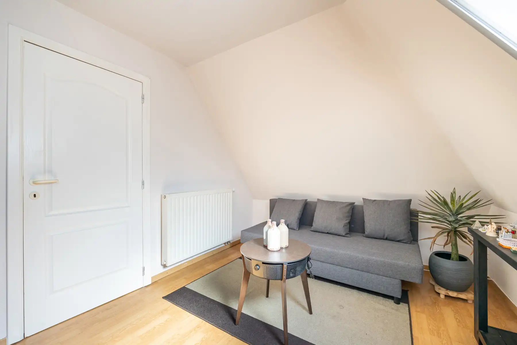 Huis te koop foto 19