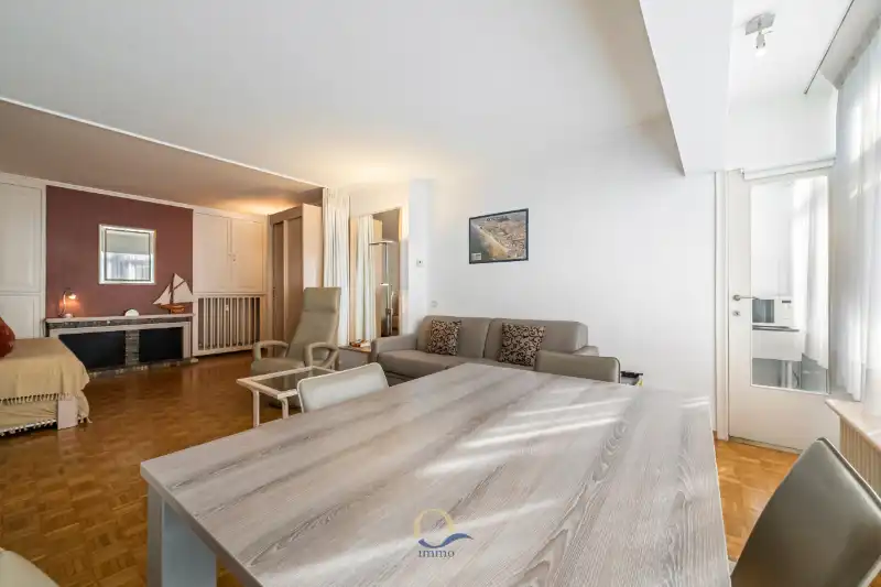 Gerieflijke studio van 52m2 op centrale ligging aan het Marie-José plein foto 5