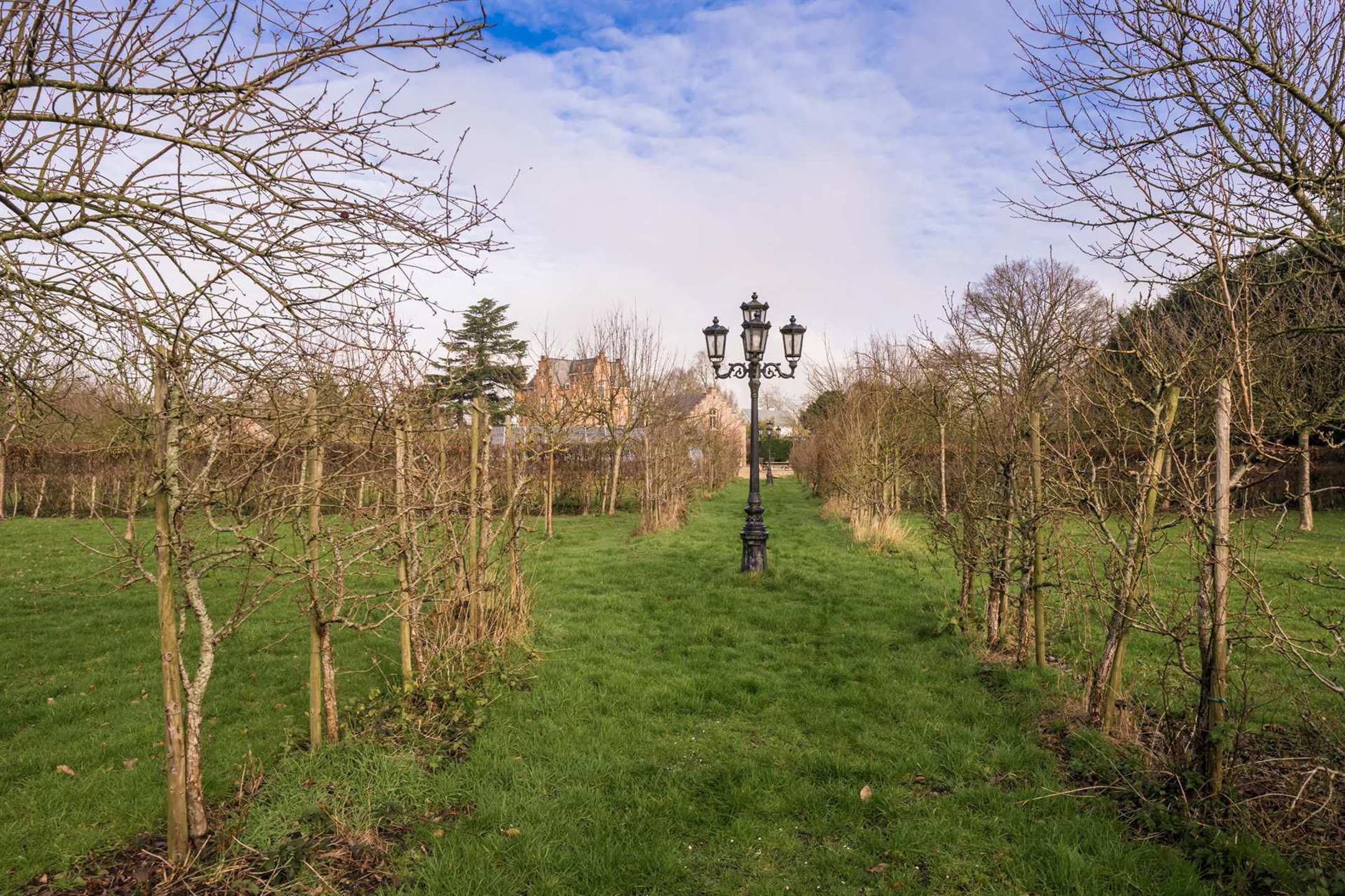 Uitzonderlijke kasteelvilla met siertuin en boomgaard foto 28