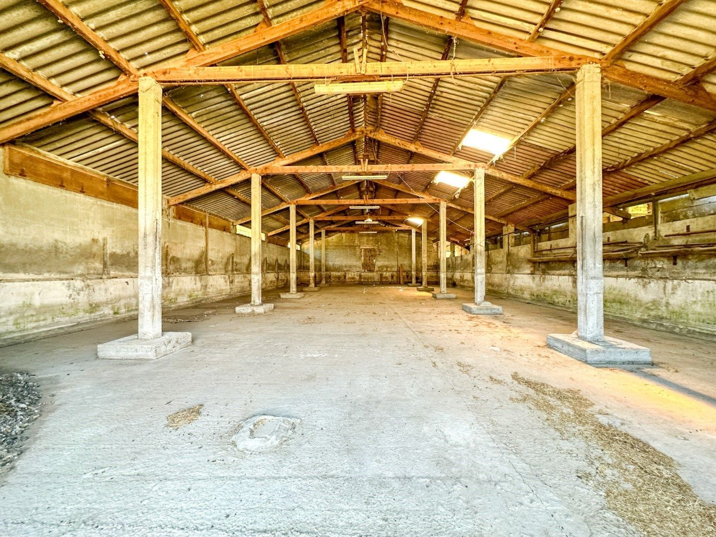 Hoevewoning met weilanden, te renoveren, unieke ligging in Torhout, vlak bij Groenhovebos foto 11